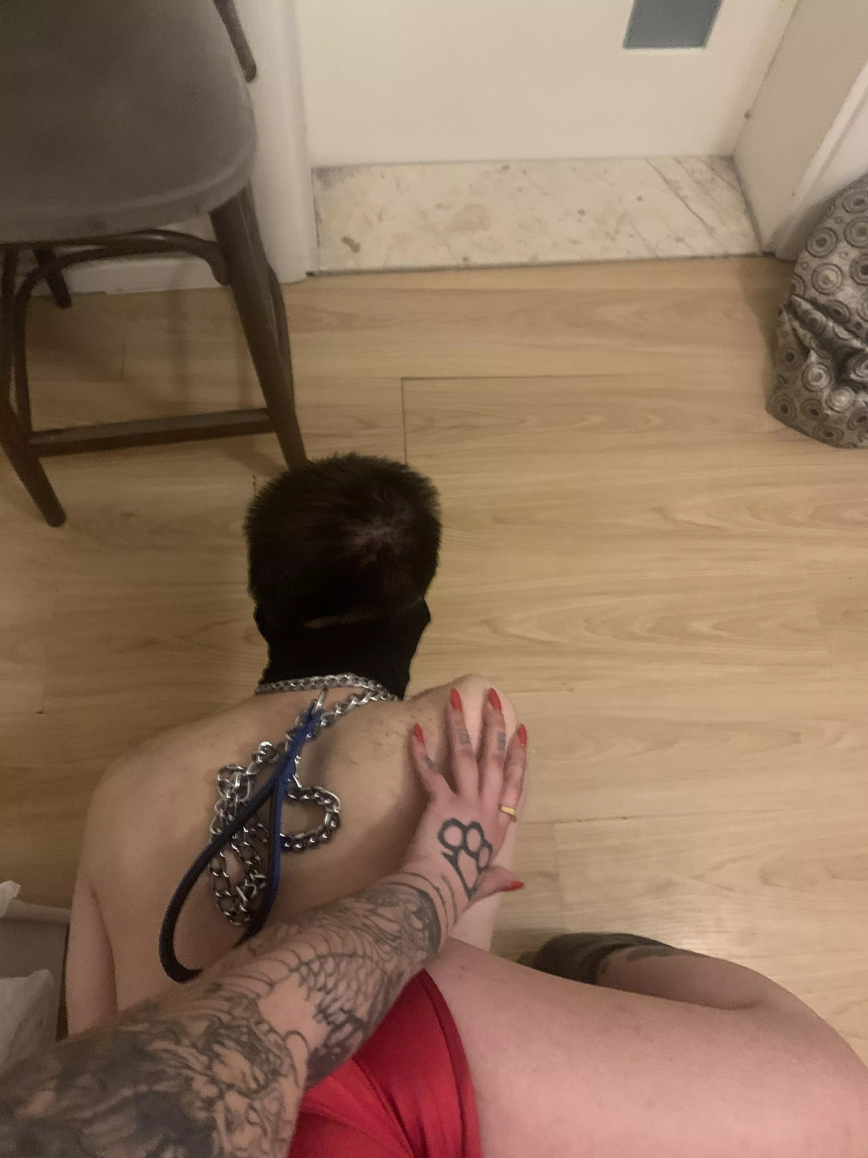 [oc] One of my slaves was having so much fun carrying me around... You will too