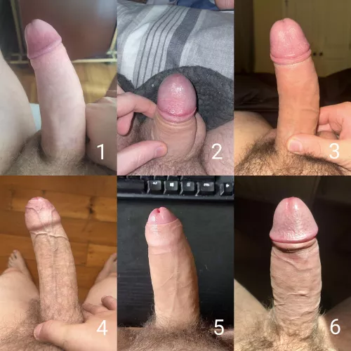 Rank these uncut cocks from favorite to least favorite (doing cut only next, send me a quality pic to be included)