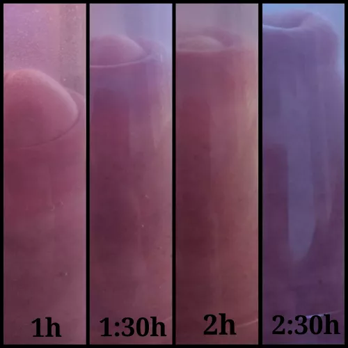 which is the favorite? 🍆