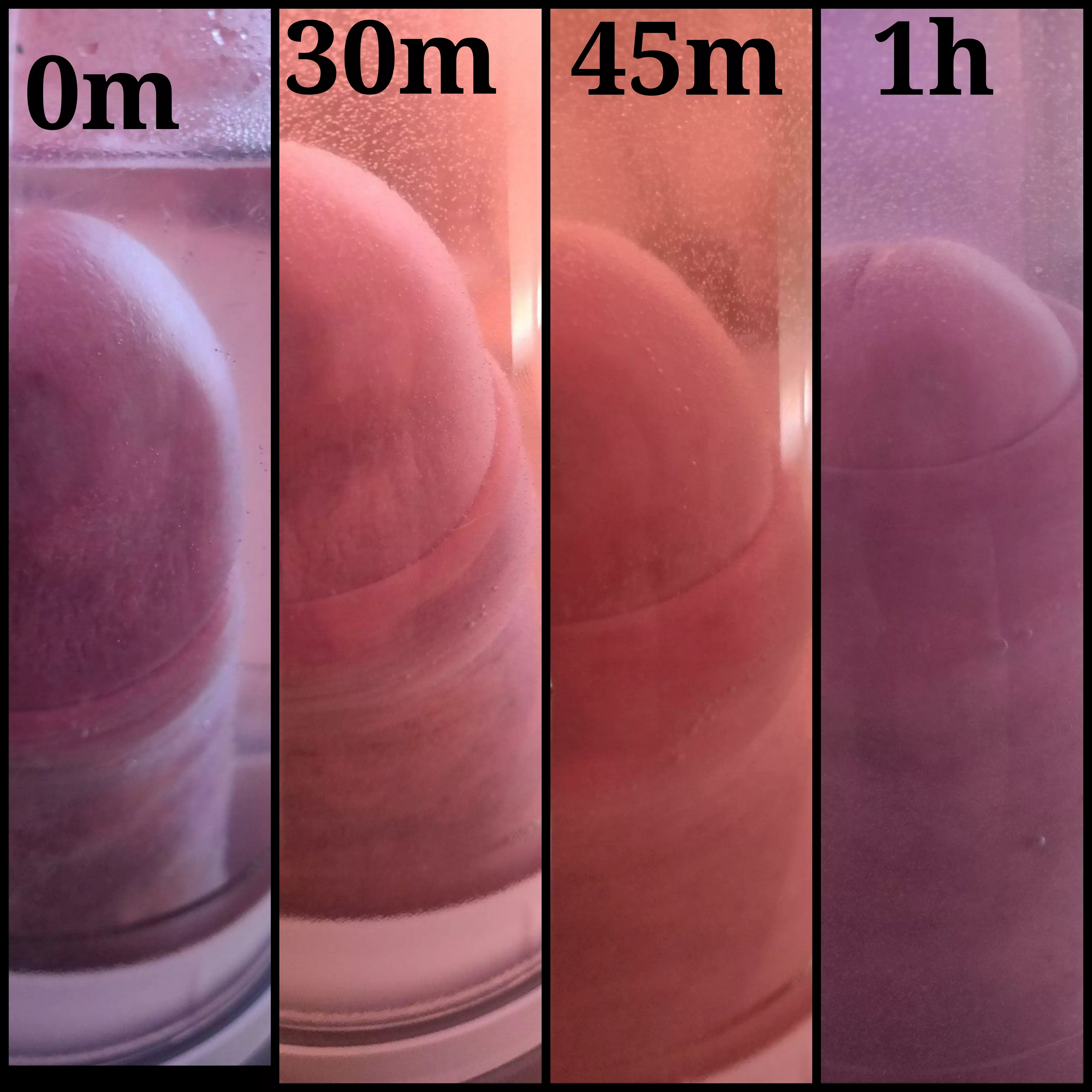 which is the favorite?