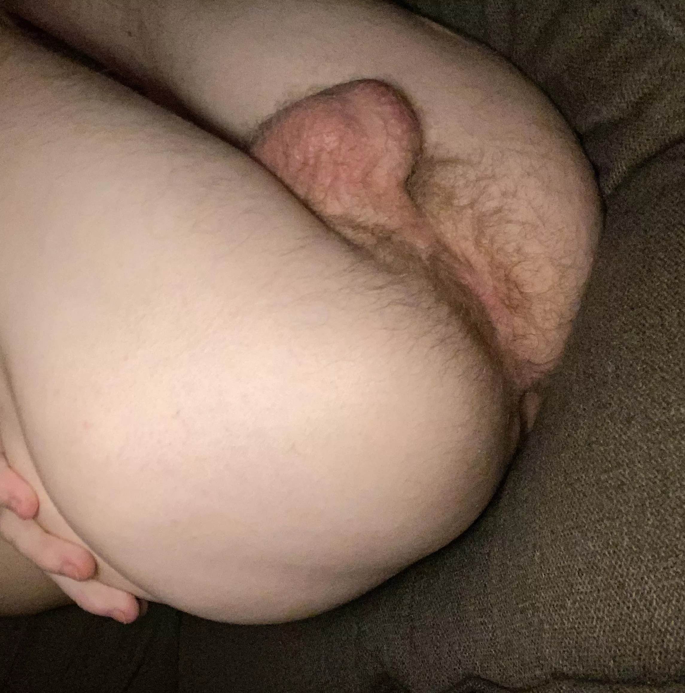 Would you eat this ass?