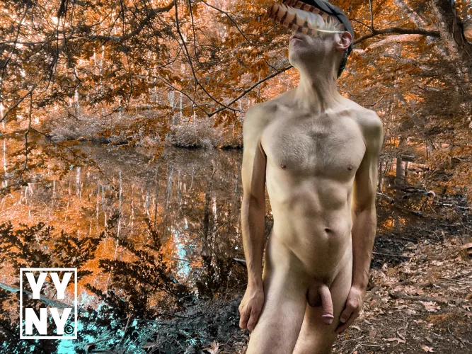 Yankee Doodle went to town a-riding on a pony, He stuck a feather in his hat and called it macaroni!! 🪶