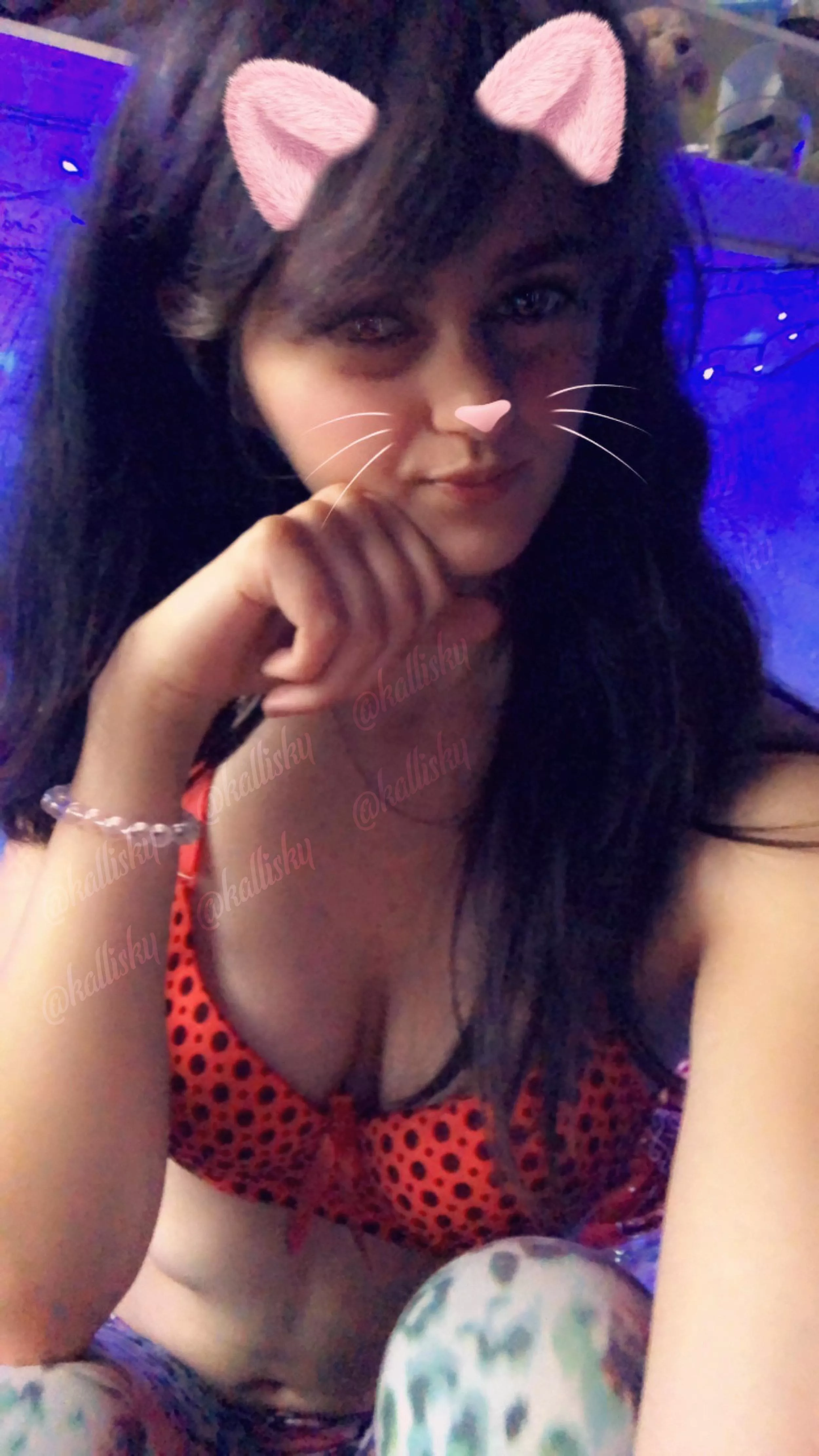 your kitty, in your service