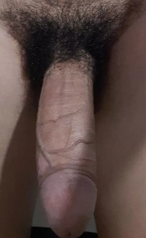 Any chub interested in my 6+D (m19 here)