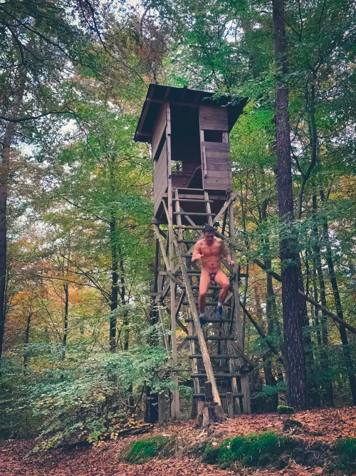 Forest Treehouse