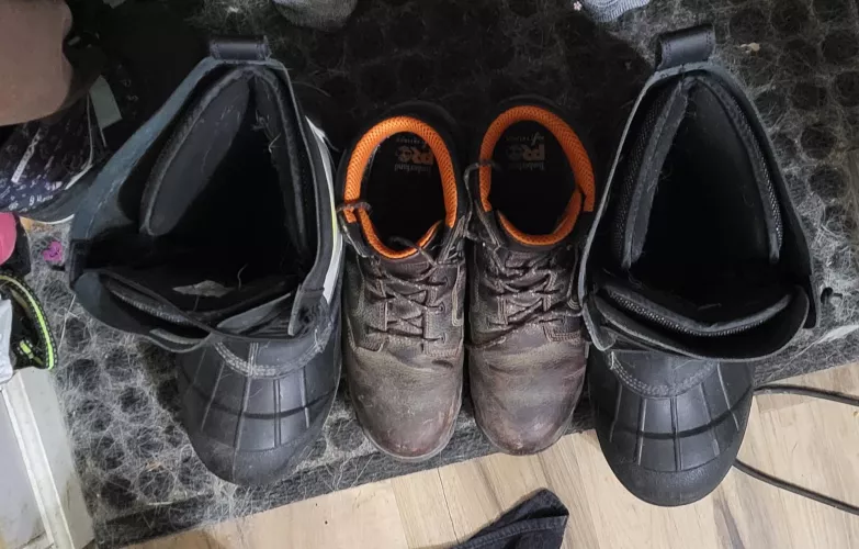 From summer to winter