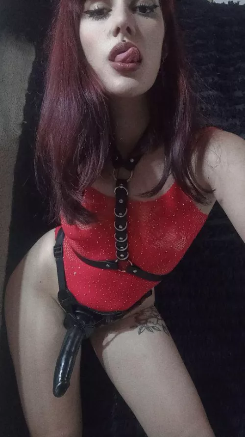 Hungry for submissive puppies