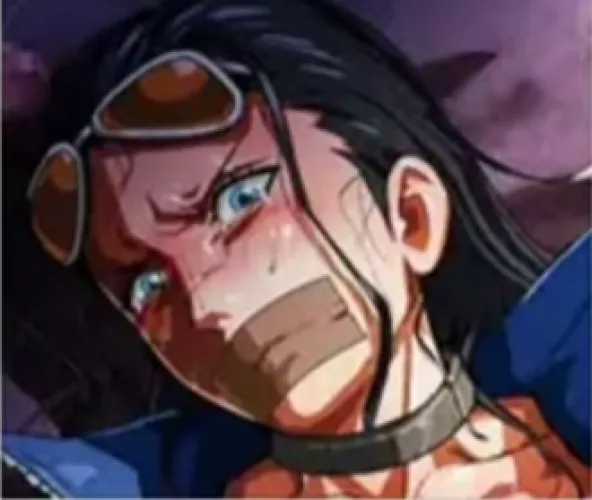 Lf color source:Nico robin, sunglasse,mouth taped,collar