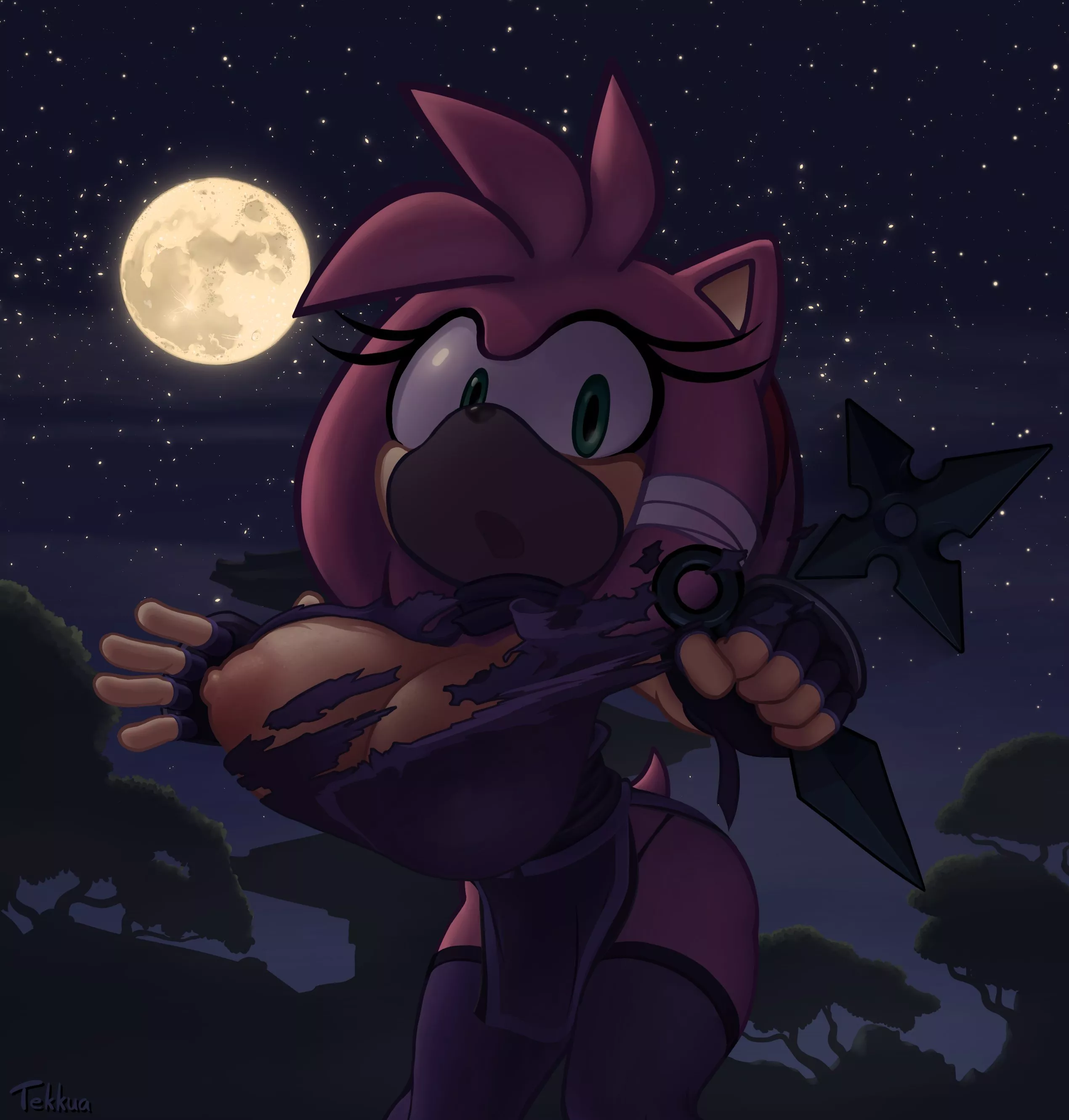 Ninja Amy (Tekkua)