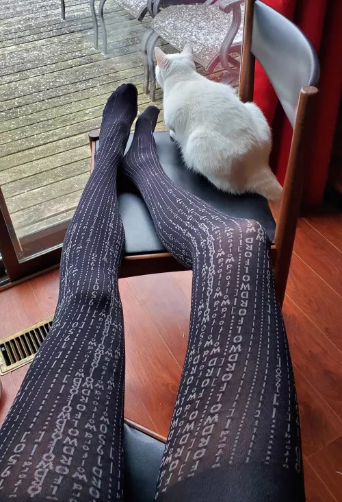 Priceless moments.. me, my cat and my wolford.. wanna join?