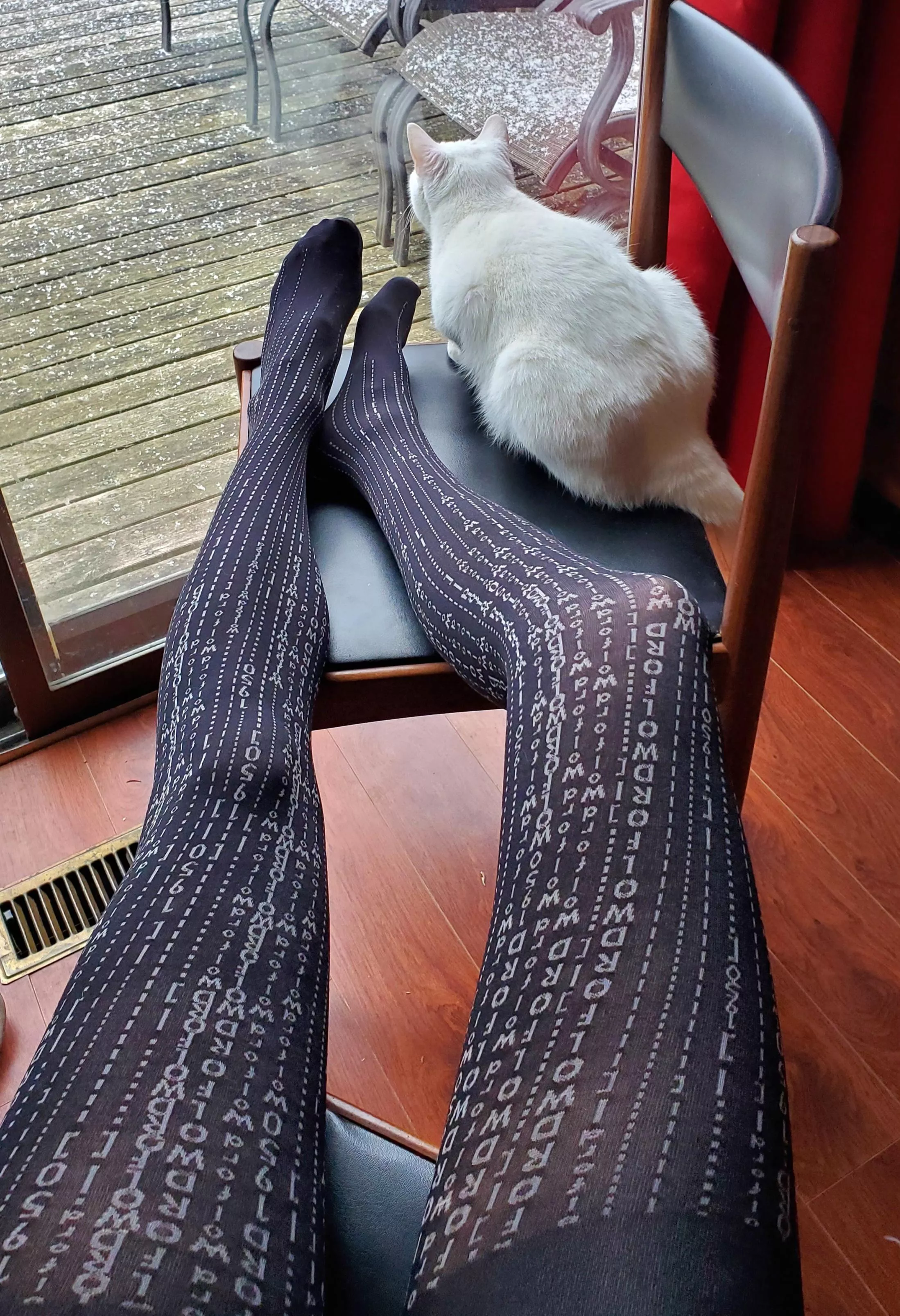Priceless moments.. me, my cat and my wolford.. wanna join?