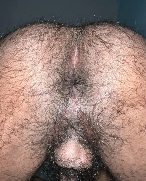 What do you guys think?