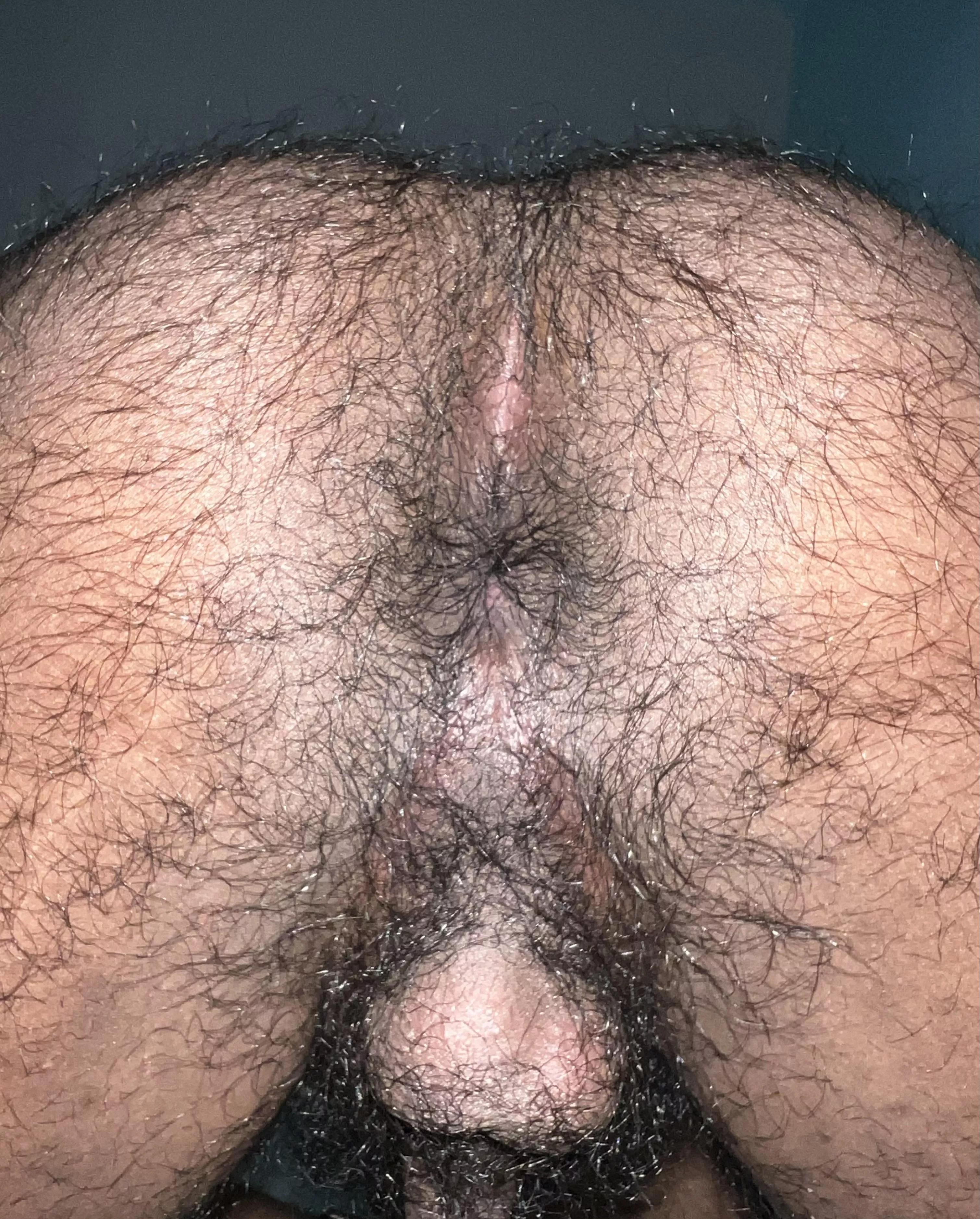 What do you guys think?