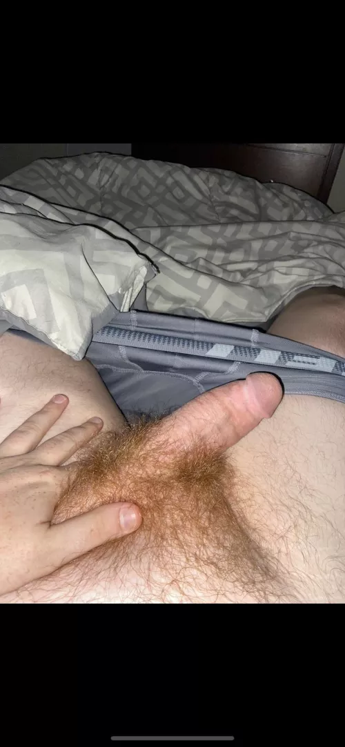 18m any other hairy ginger guys? Down to compare