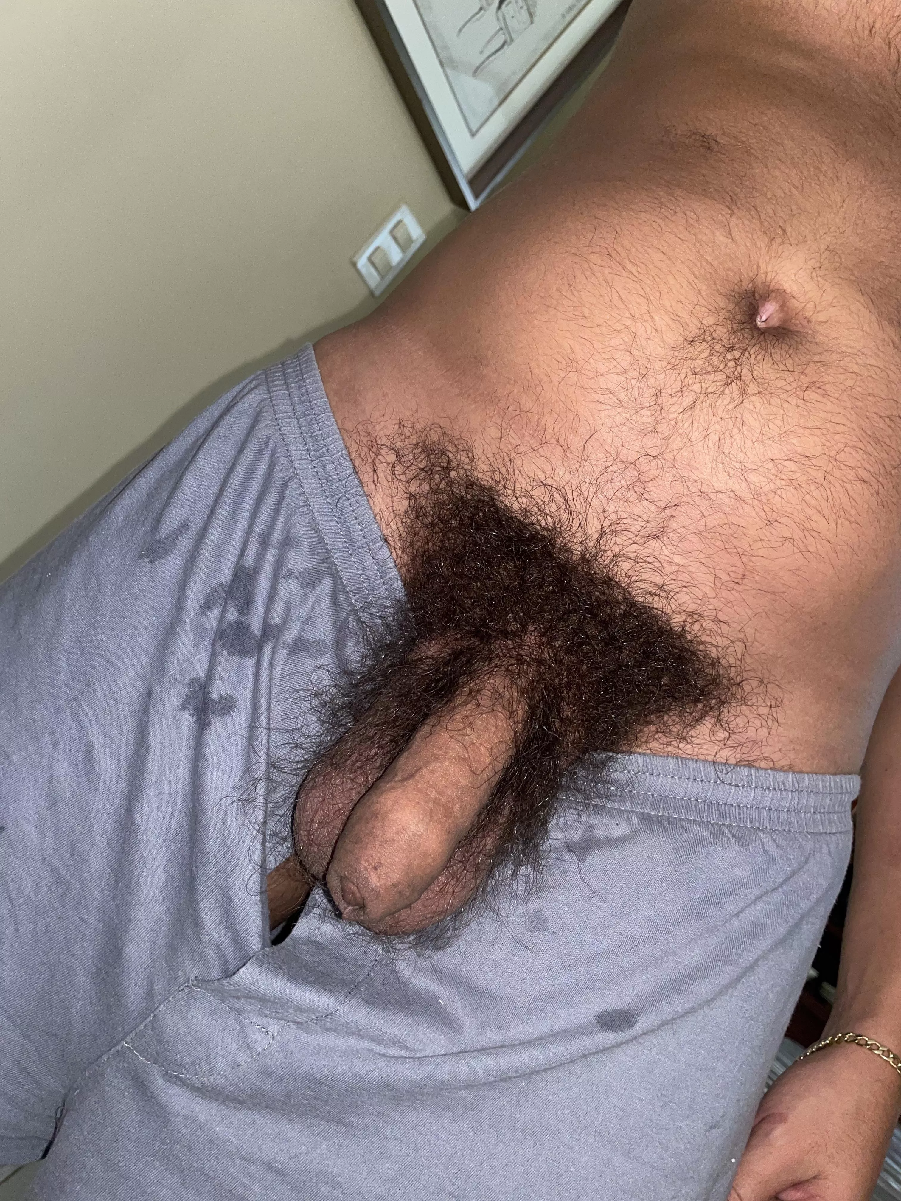A dick and its sweaty bush
