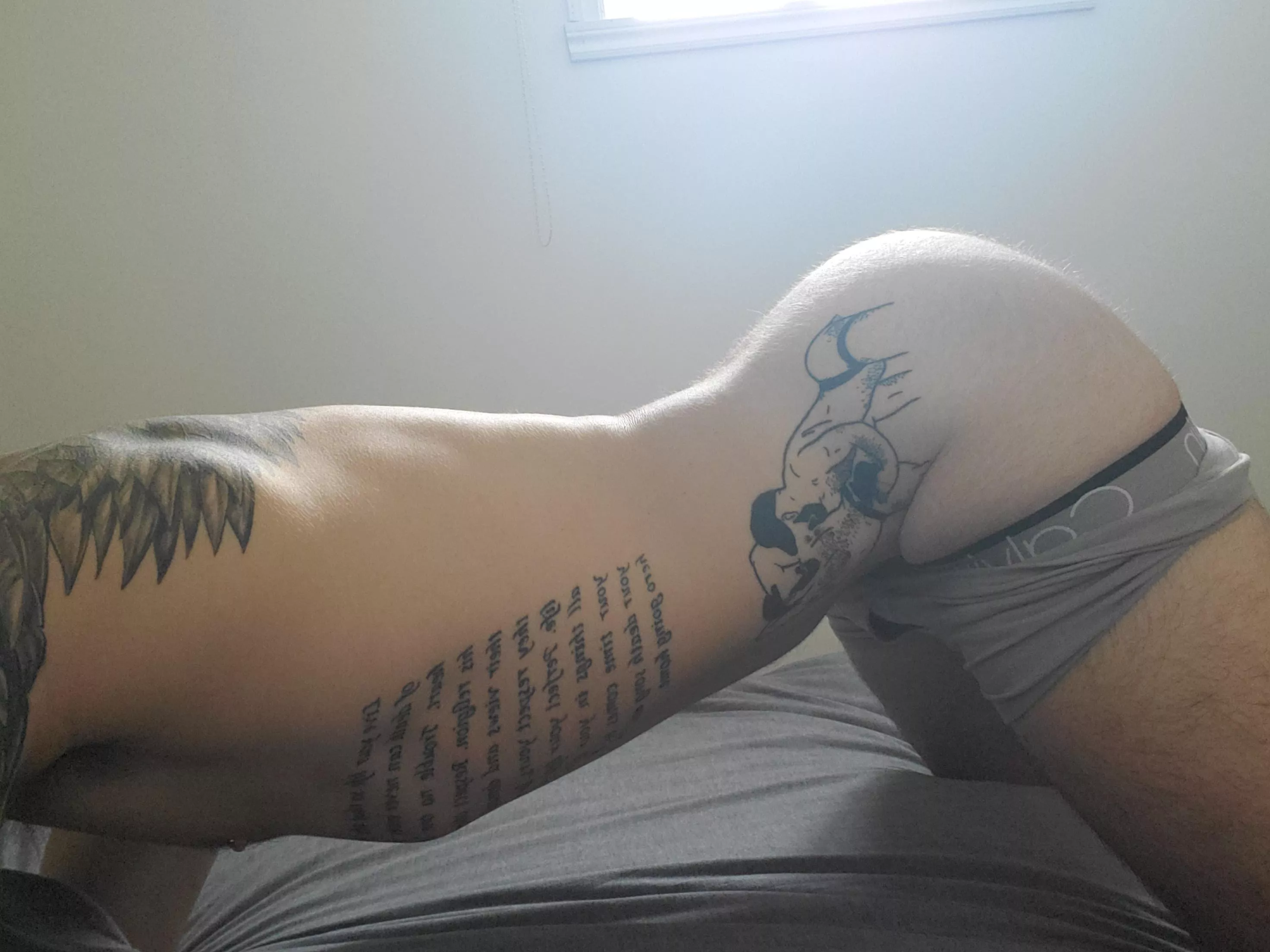 An ass is not complete without hair