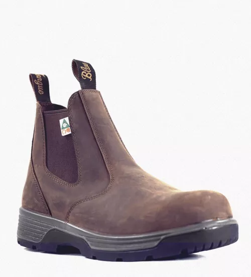 Anyone have experience with blue tongue