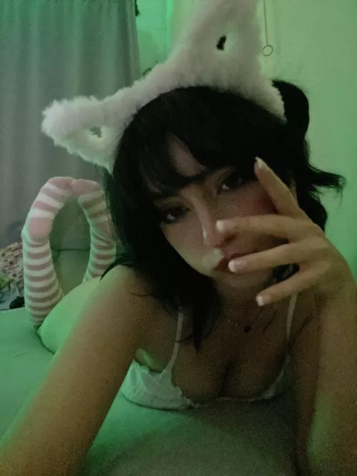 are you into little kitty's