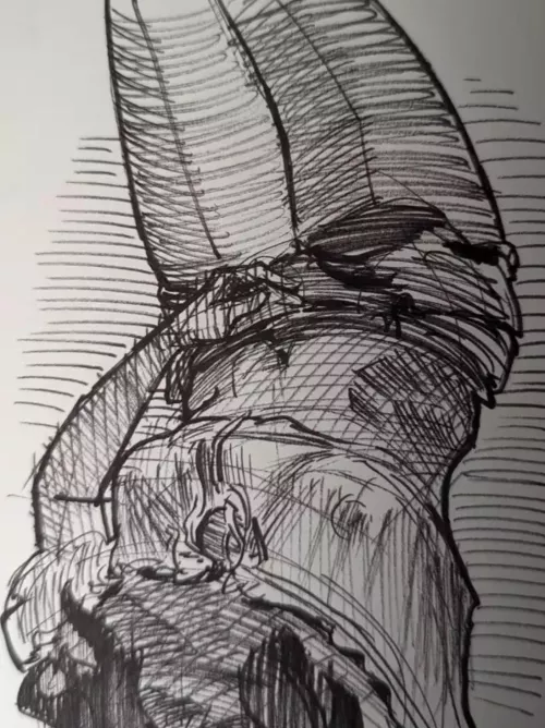 Beautiful sketch of me.