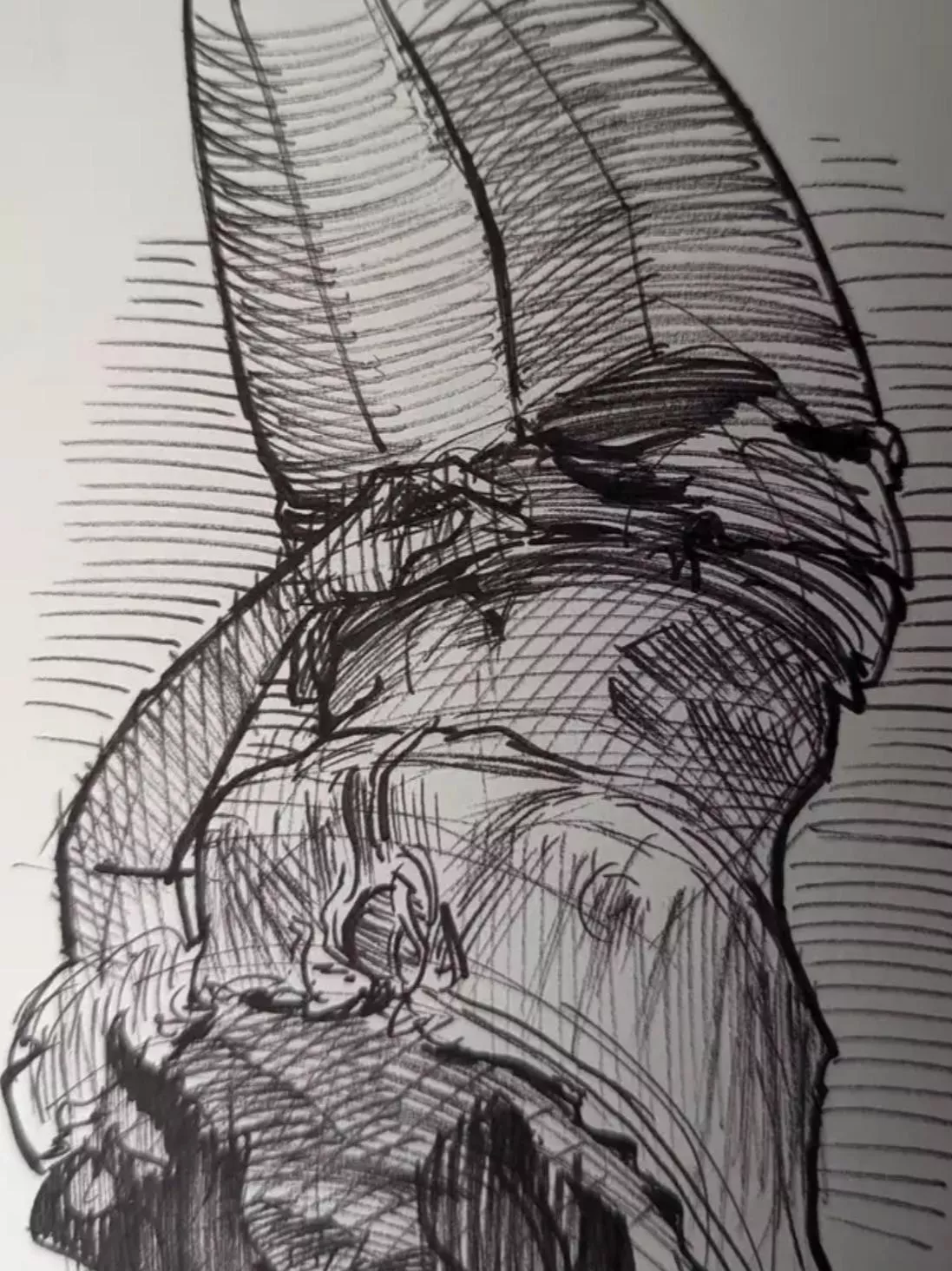 Beautiful sketch of me.