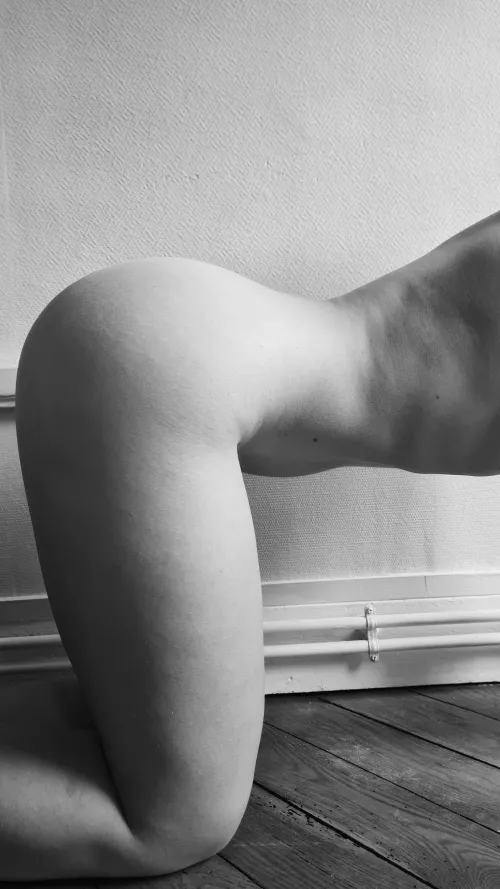 Black and white shapes