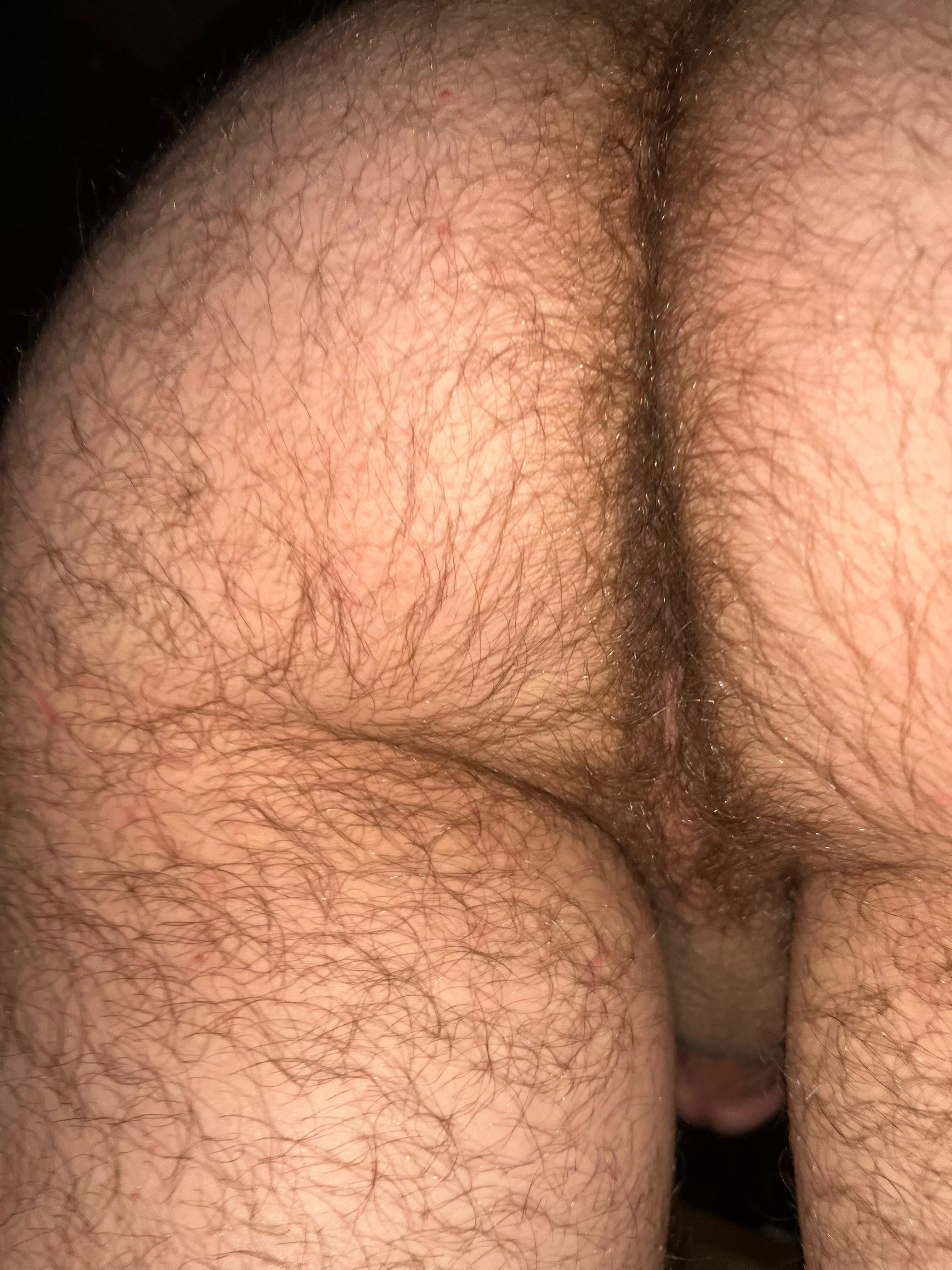 Come use my hairy ass