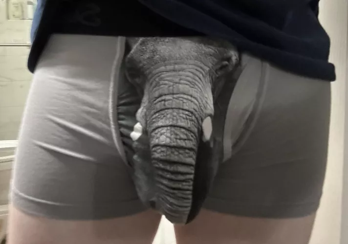 Comment or DM if you want to see my trunk 😜😈