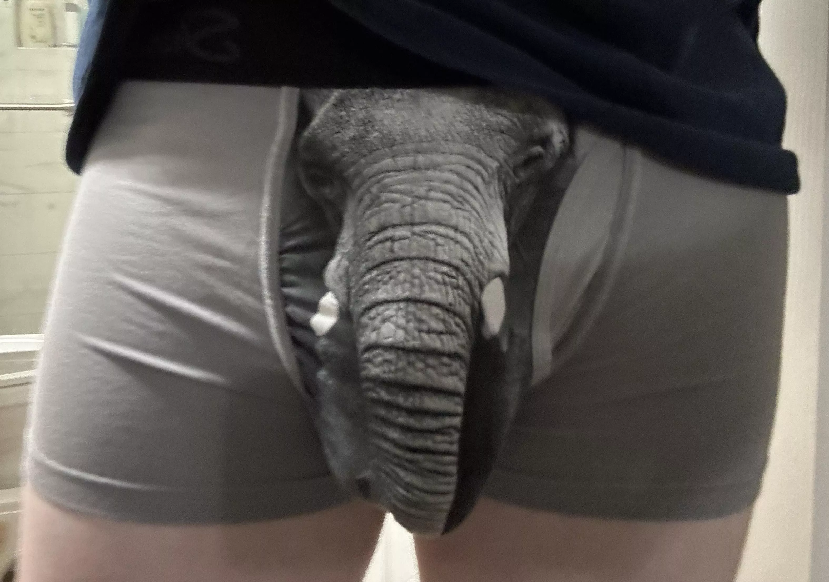 Comment or DM if you want to see my trunk 😜😈