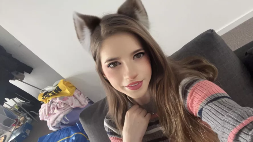 cute kitty in need of love