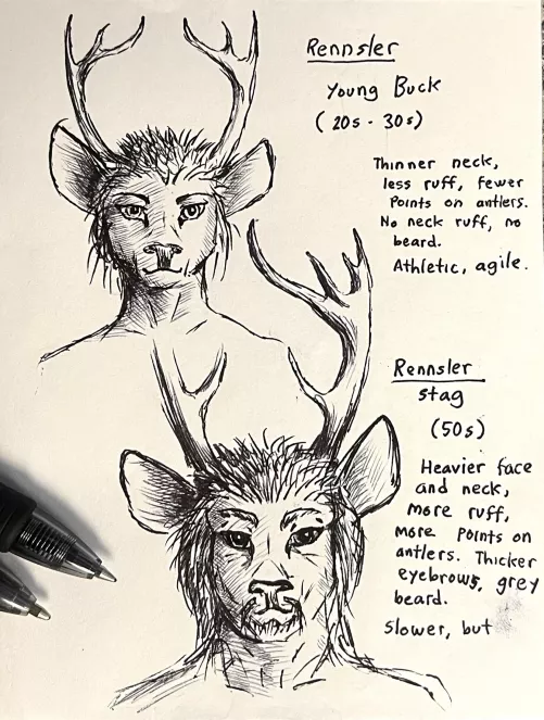 Doodle of My Fursona; and a personal message I’d like to share.