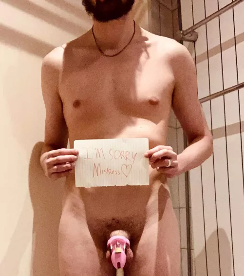 I got instructed to post a public apology for you all to see!