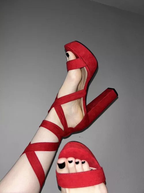 I wanna see you beg for my toes in your mouth