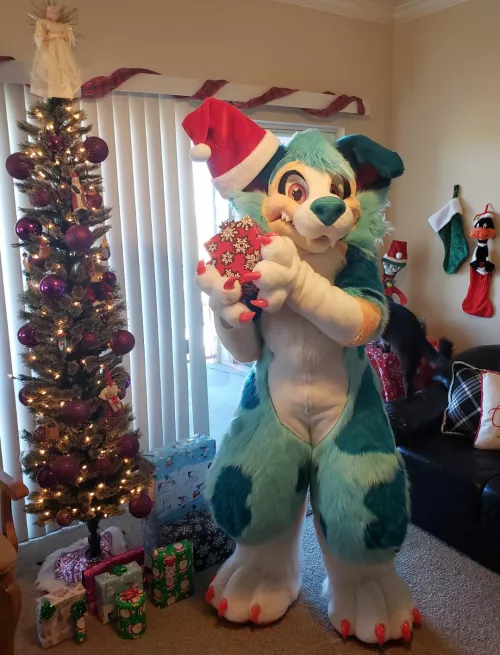 It's finally December! 🎄