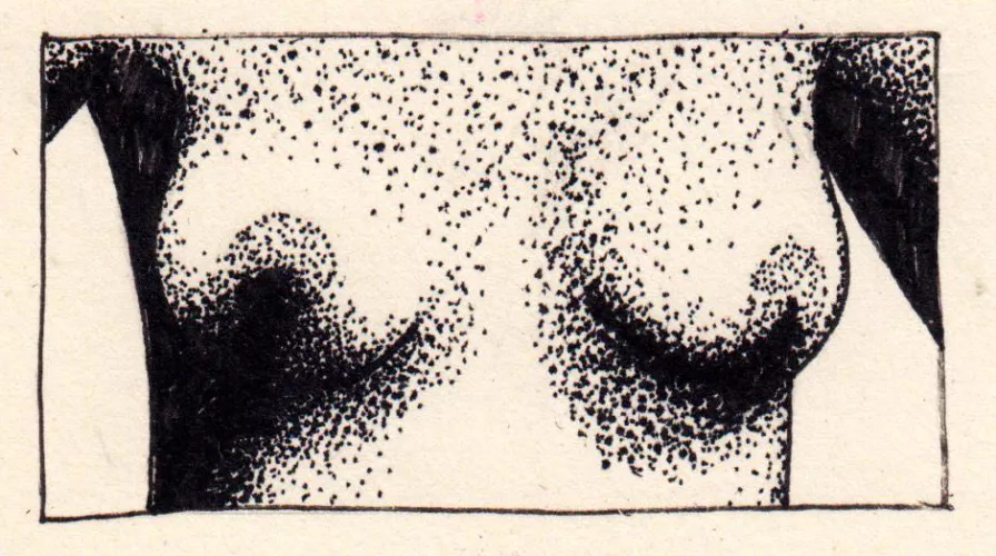 joy, celebration and fulfillment