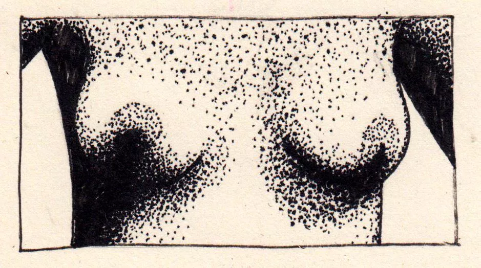 joy, celebration and fulfillment