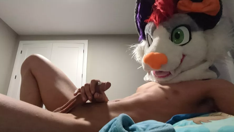 Just a quick pic, hope you like it