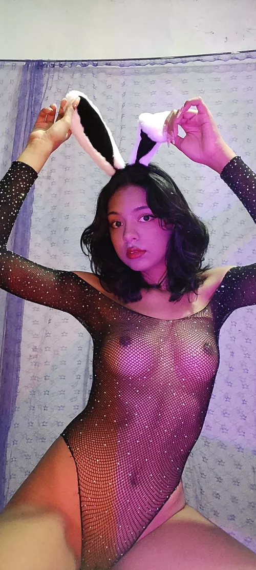 Let me be your bad bunny baby, I promise to do your bidding