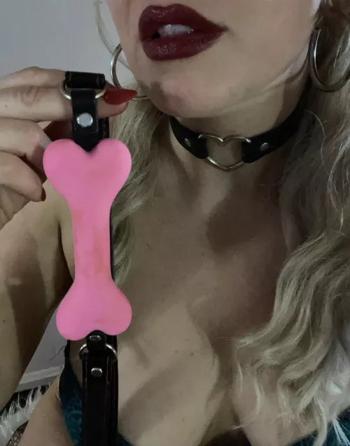 Let’s play fetch! 🐶😍