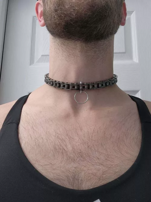 Made myself a new collar.