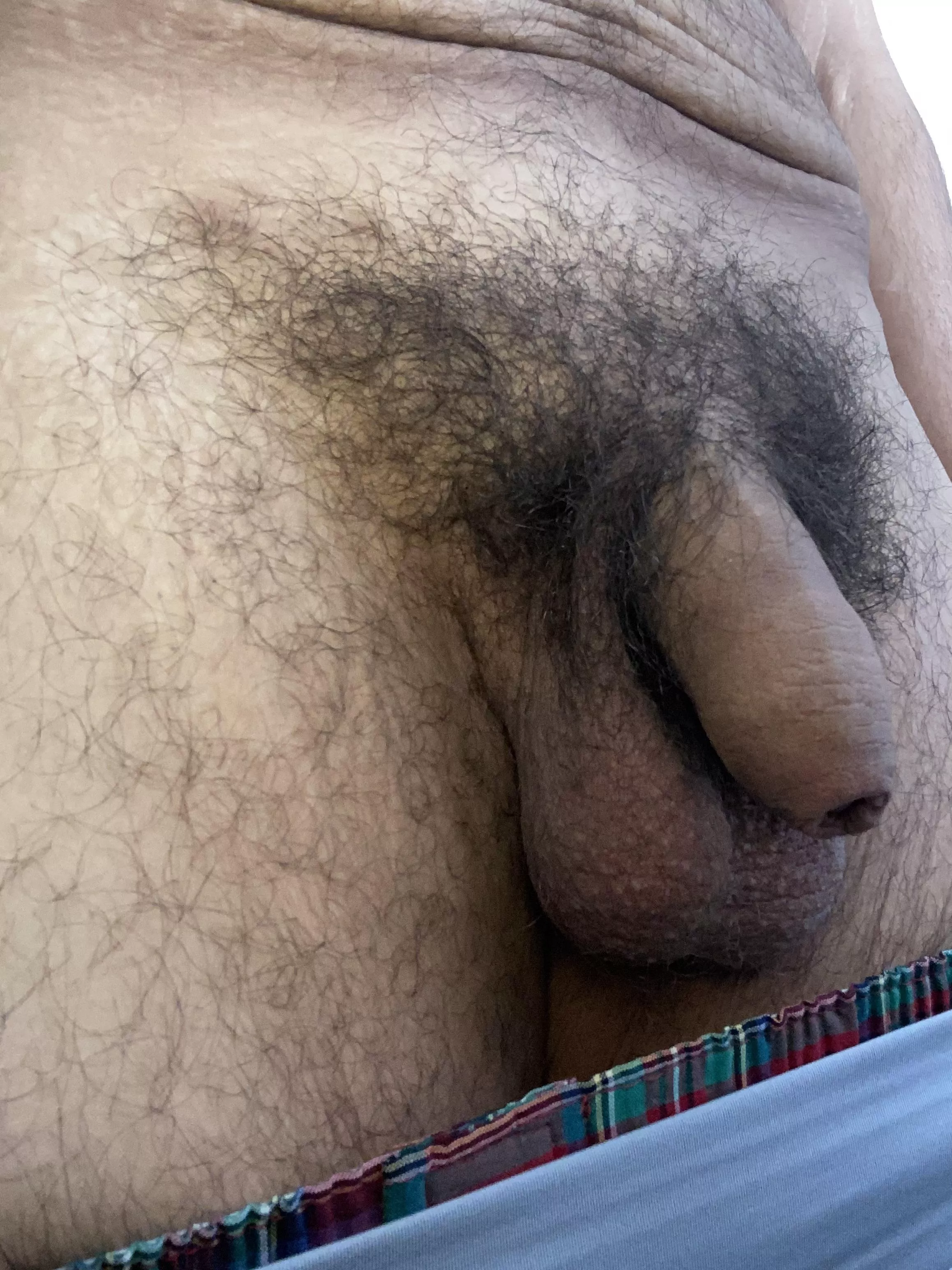 May not be a shower but proud of my penis.