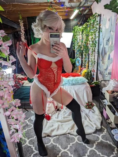 Mrs Claus getting ready for December.....by Mrs Pineapple