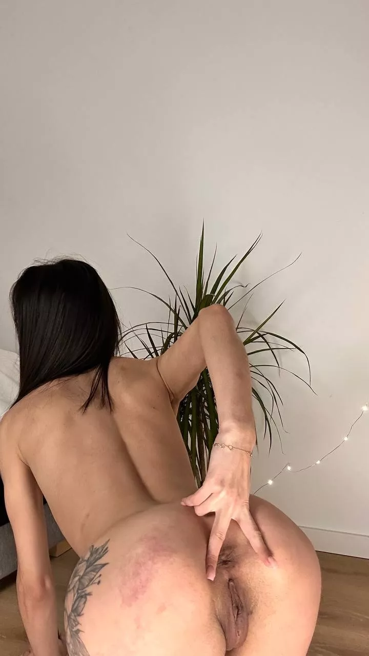 My pussy and ass ready for your horny stick