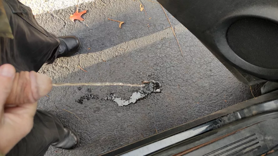 Parking lot piss