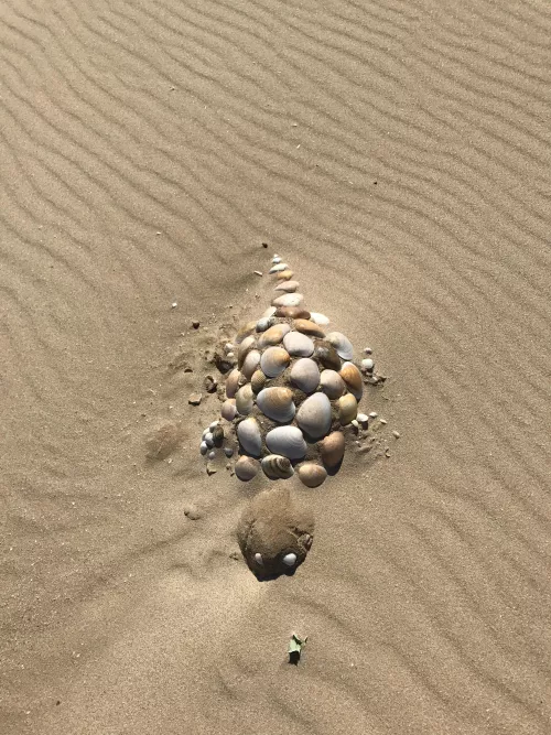 Shell art at Meia Prai, Portugal