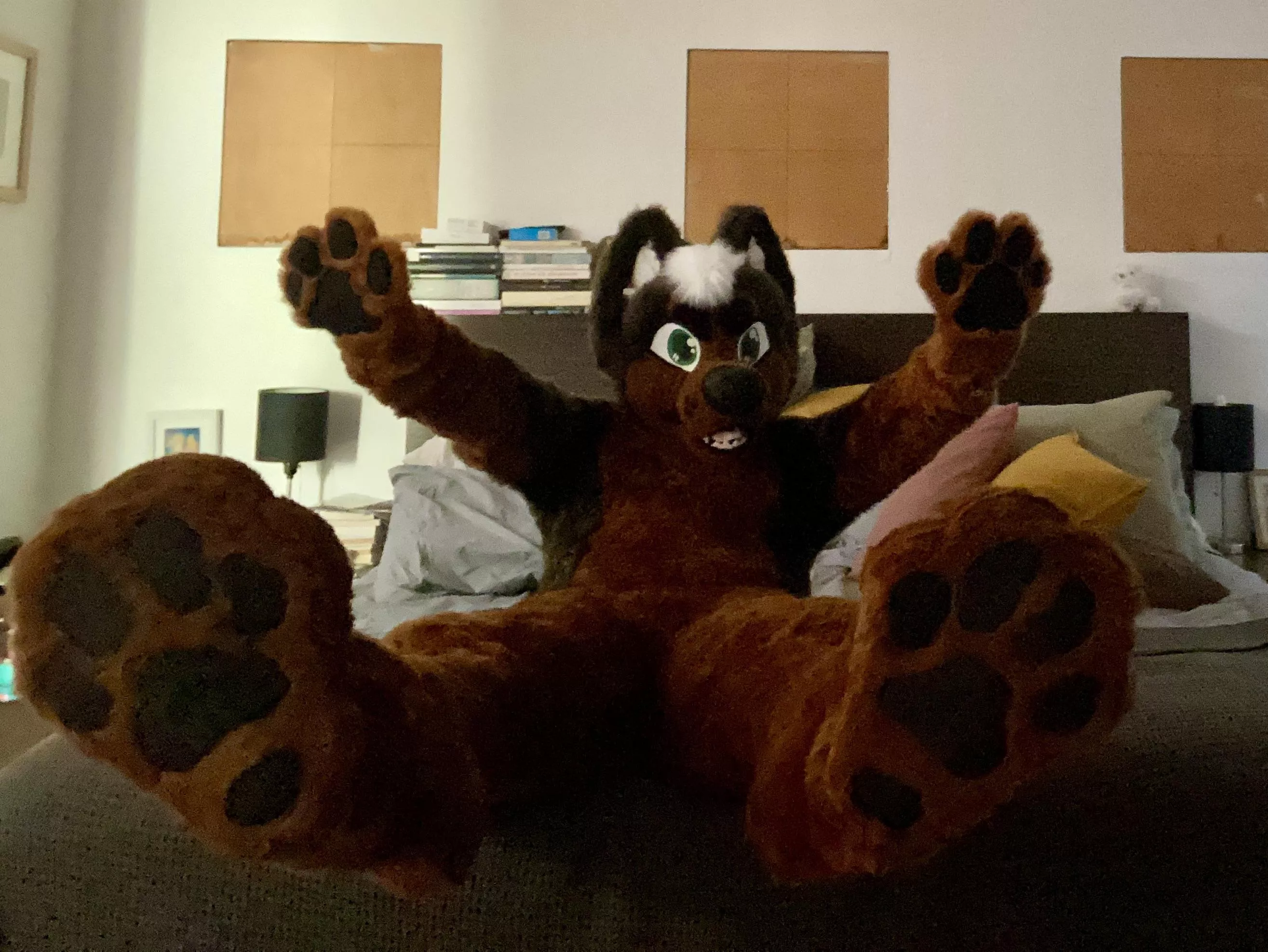 ~¡Show me your paws!~