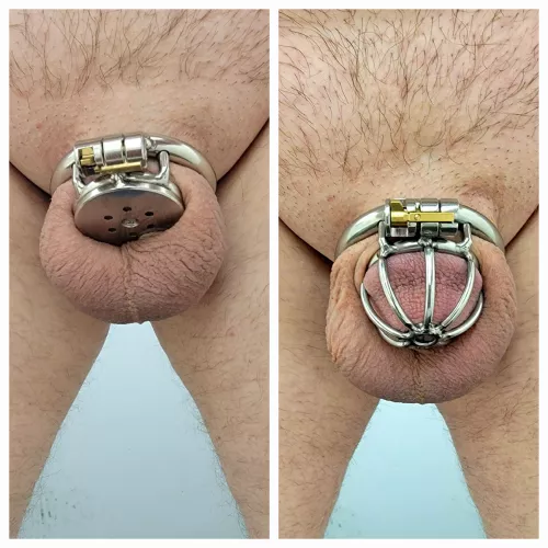 Sizing down to my 1st flat cage