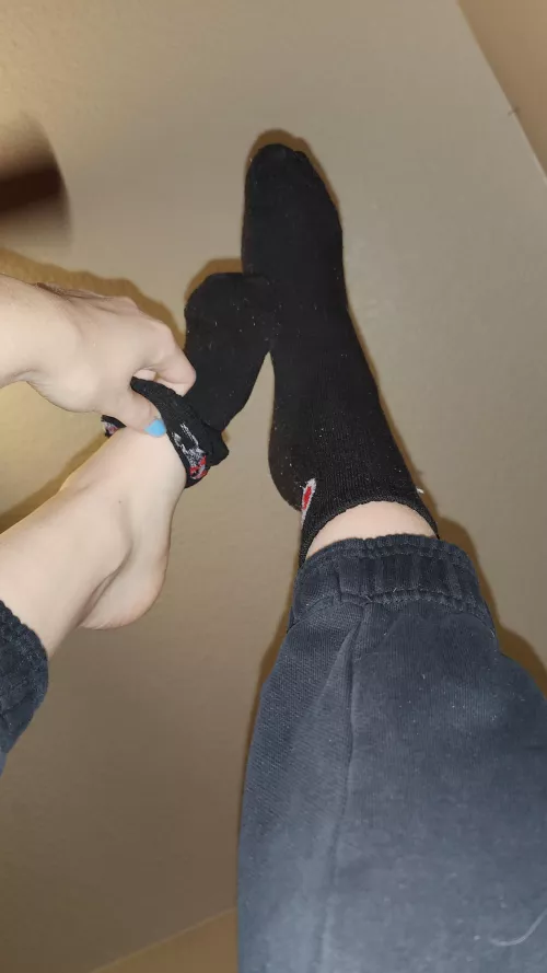 What do you think they smell like?