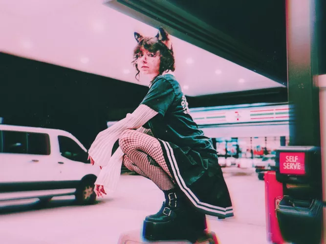 When you tell your pet to get off the counter