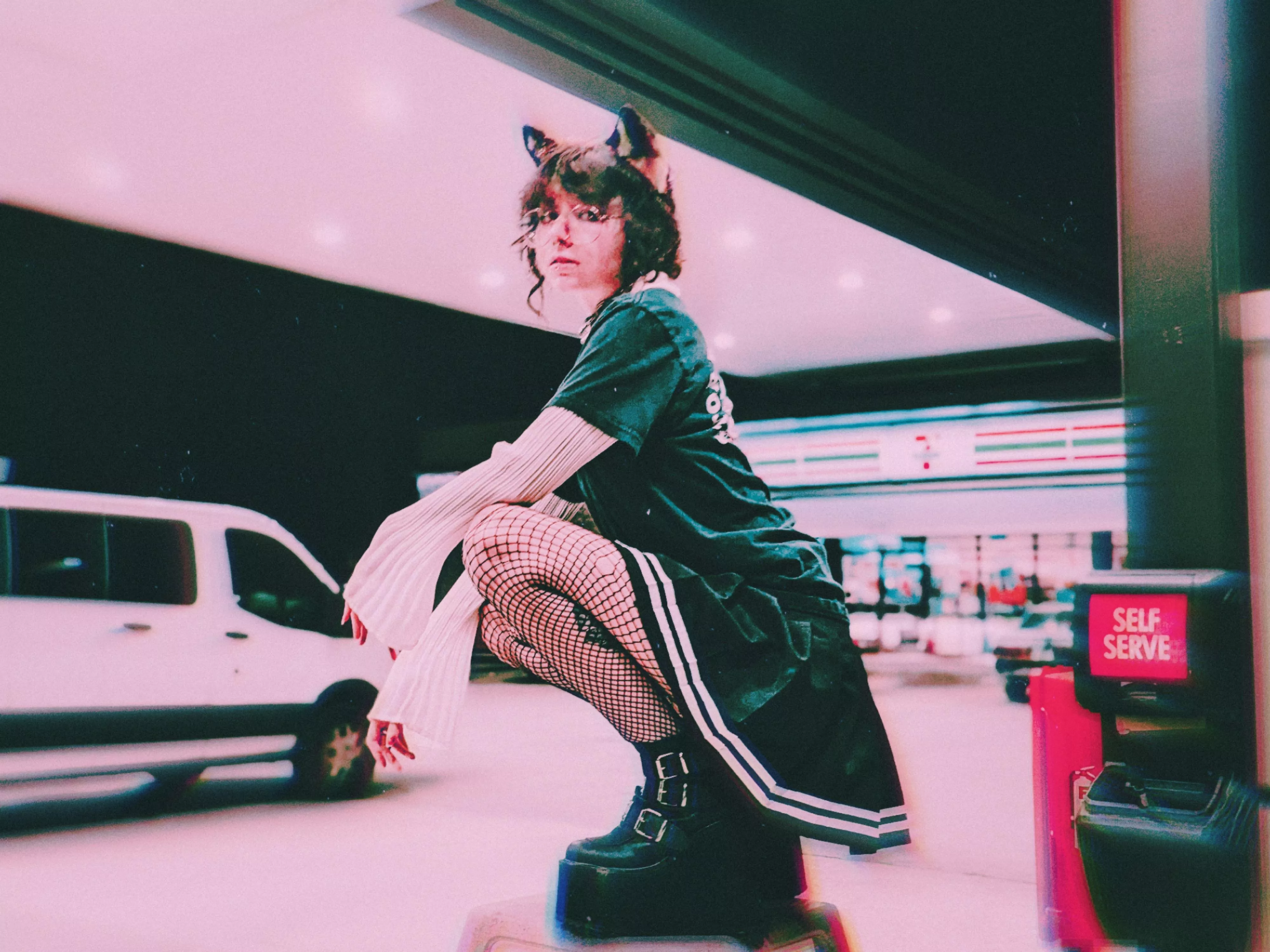 When you tell your pet to get off the counter