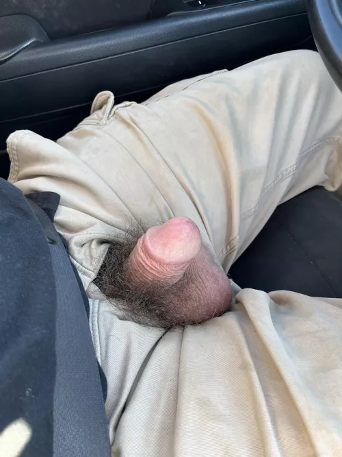 Would you suck on my small hairy dick?